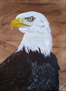 Eagle's Eye